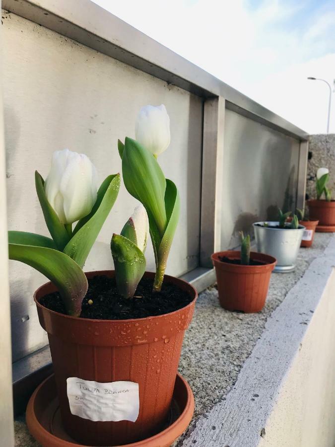 Boavista Villa Guesthouse Πόρτο Εξωτερικό φωτογραφία